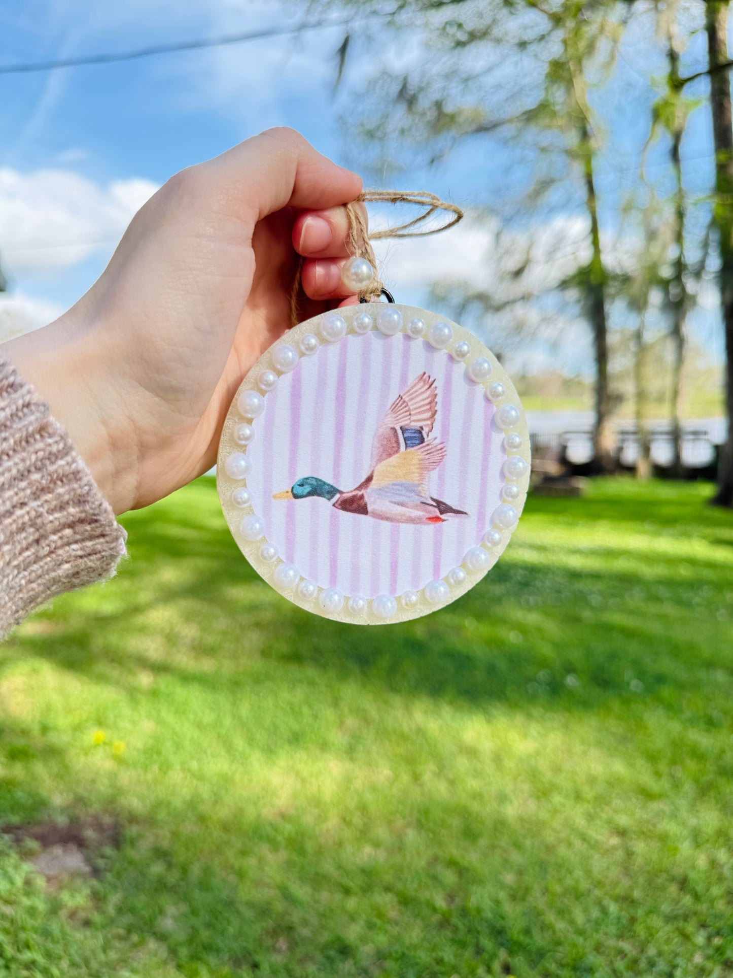 Mallard Duck With Pink Stripe 🦆